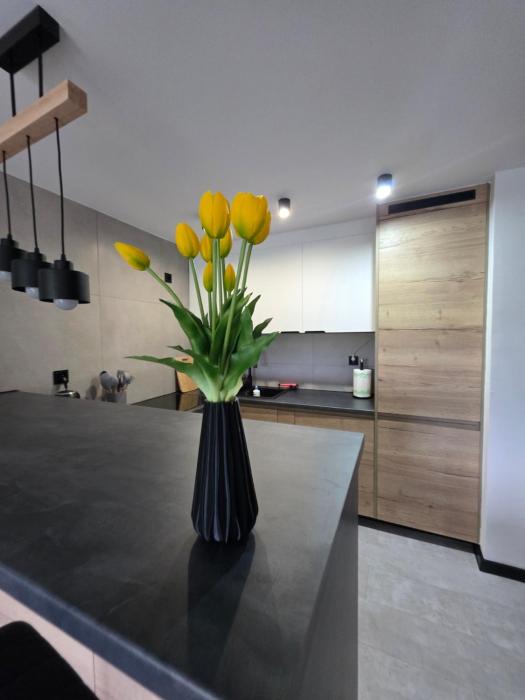 Sola Apartament