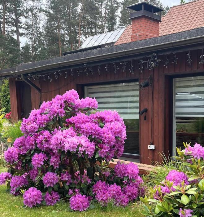 Saules House Saulkrasti
