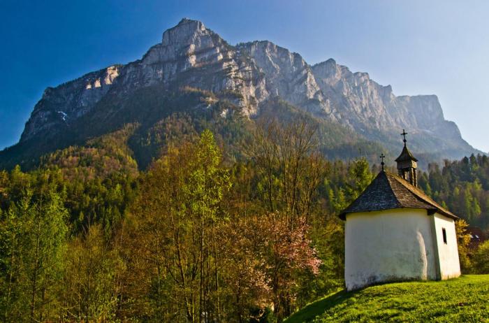 Cozy Alpine Chalet in Unterjettenberg - Ideal for Families & Nature Lovers
