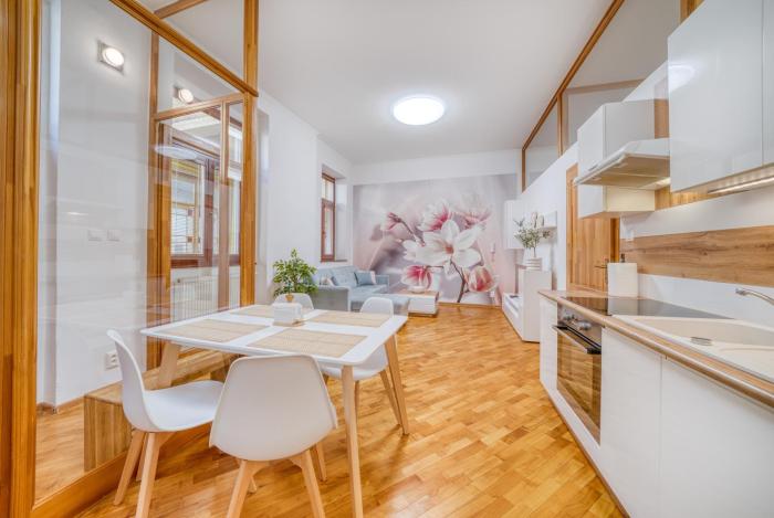 Apartment Mlynská 25 - Kosice City Center
