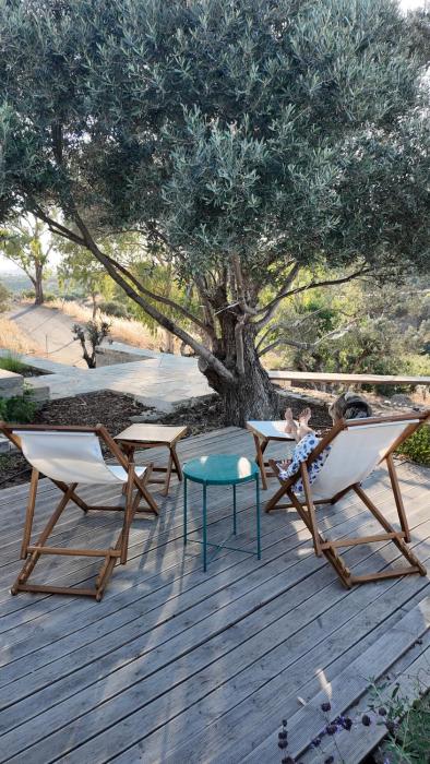 Anthea - A Modern Retreat Under the Cretan Stars