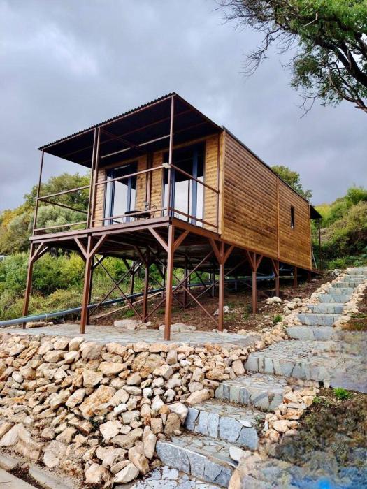 Modular House Green Zyland Gamma