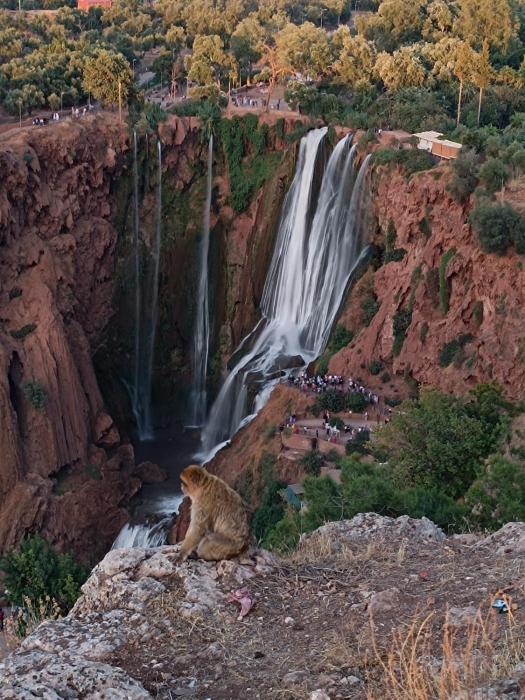 Berber Home