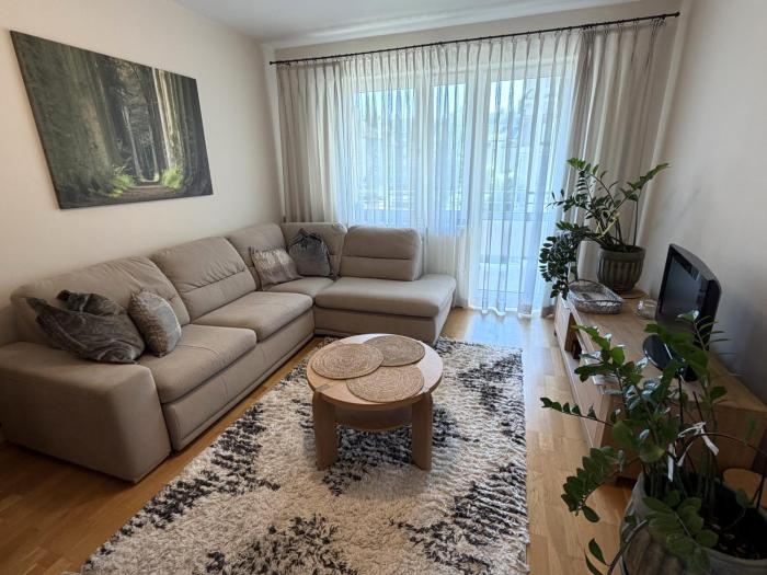 Oferta noclegów 17139404