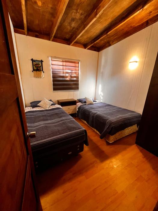 Oferta noclegów 17141253