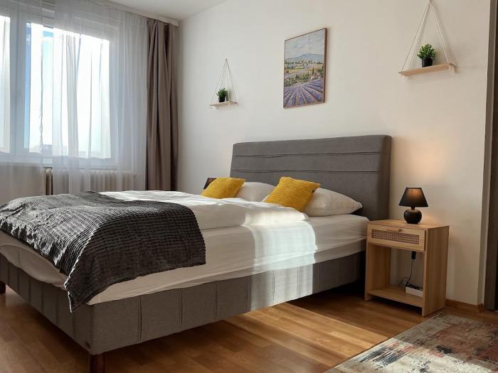 Oferta noclegów 17143246