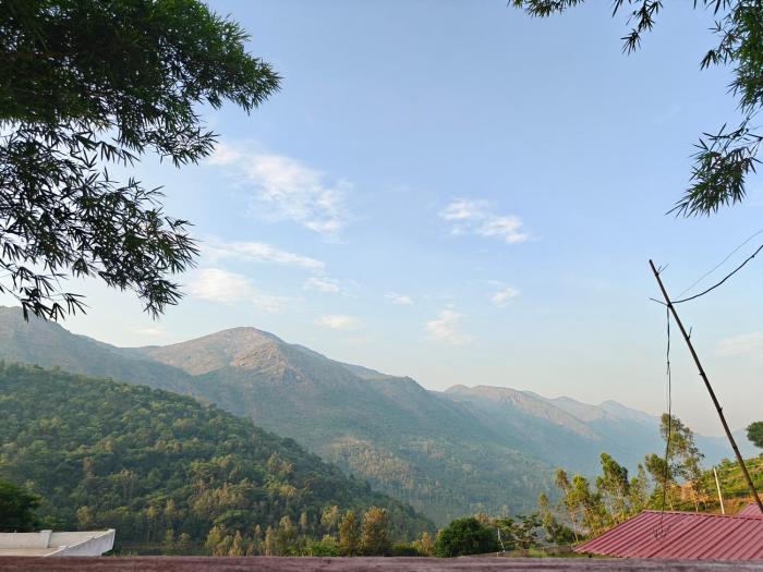 Vistara Resort and Homestay