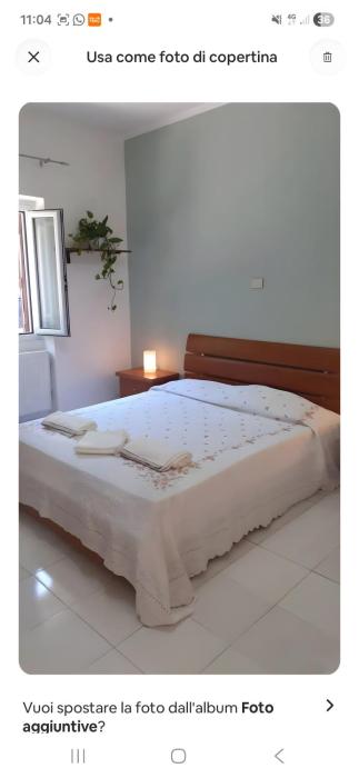 Oferta noclegów 17156234
