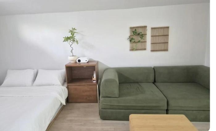 Oferta noclegów 17157231