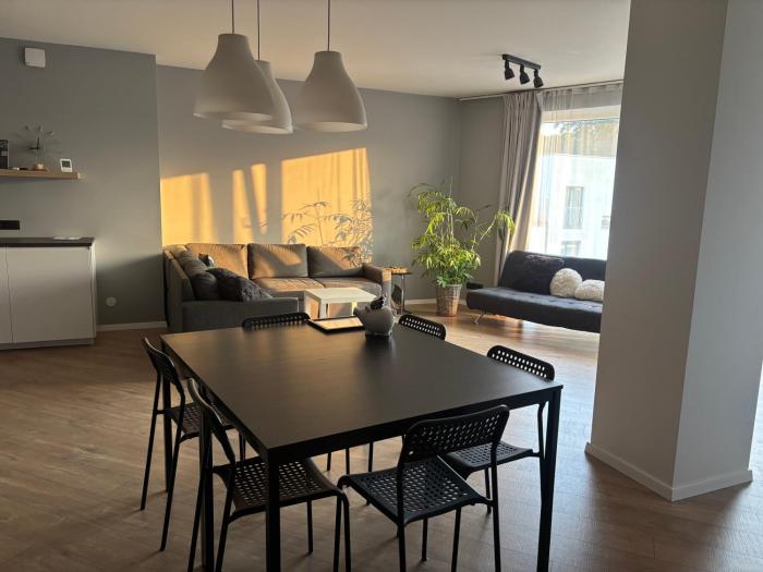 Sunny & Spacious Birstonas apartment