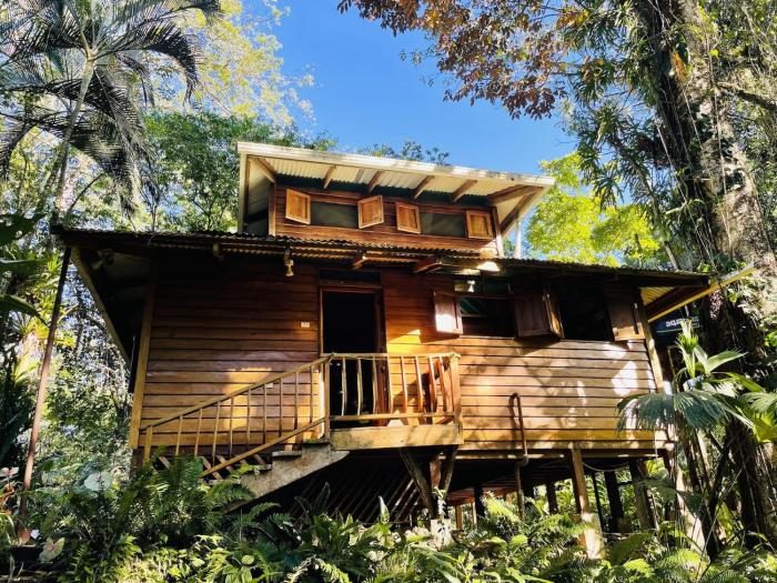 Tranquila, Casonita y Ranitas 3 Jungle Houses for nature lovers sleeps 8