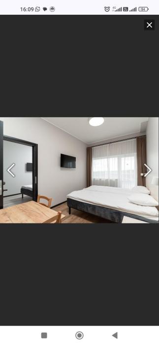 Oferta noclegów 17159166