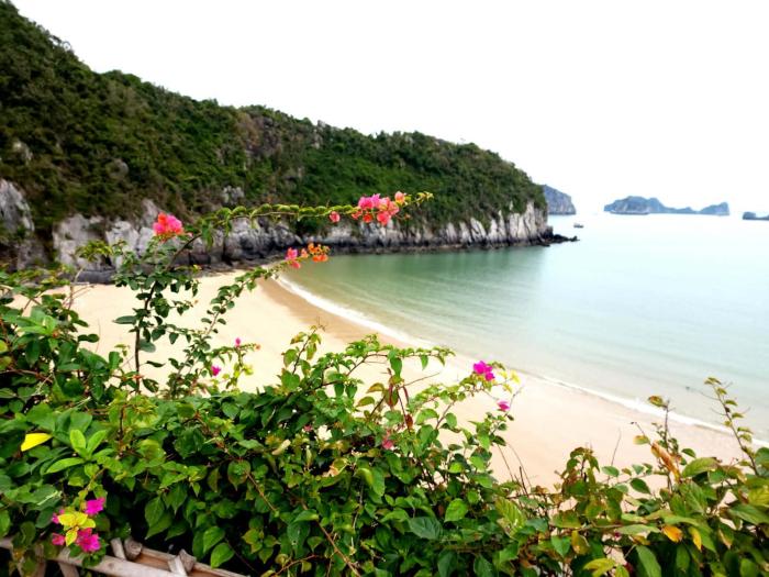 Flamingo Cát Bà Tự Doanh