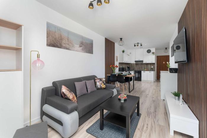 Air Conditioned Apartment in Mielno Close to the Beach and the Lake by Noclegi Renters