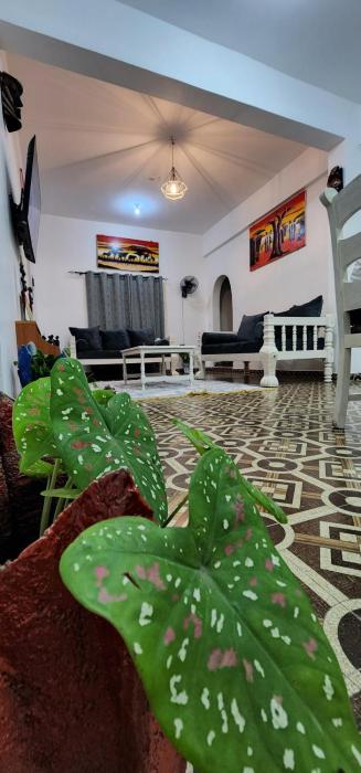 ChArLiesPLACE Watamu