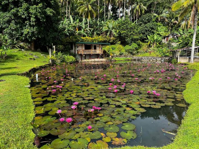 Nancys Fishpond Cabin