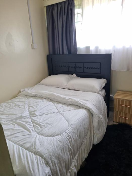 Bed & Binge - Gigiri