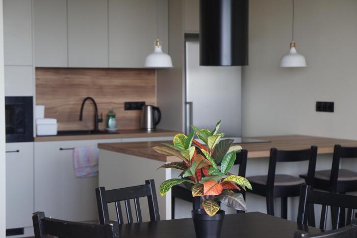 Apartament Skyline
