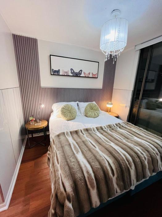 Lindo y remodelado Departamento en Santiago centro