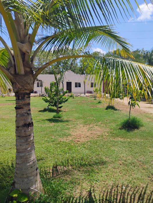 Cancun Paradaiso orchard