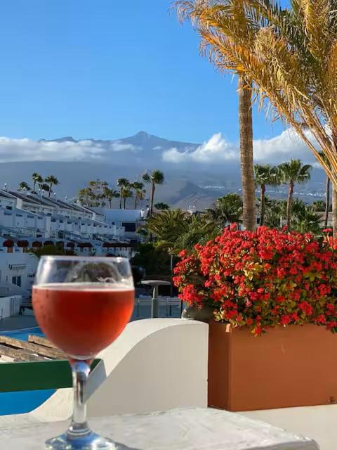 Relax y Tranquilidad en el Sur Tenerife Parque Don Jose