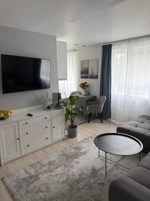 Rezekne City Center Apartment 43