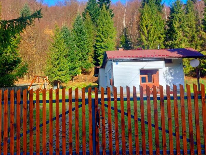 Najborówka