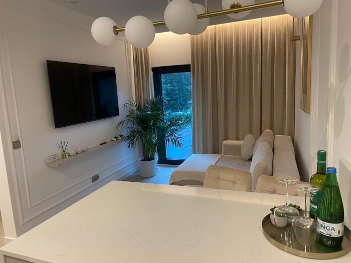 Apartament nad jeziorem Olsztyn Vidok 329