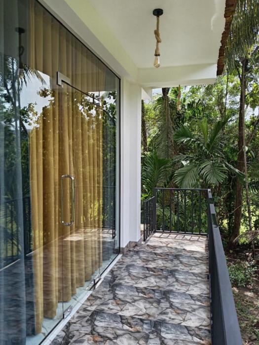 Rainforest canopy - Sinharaja