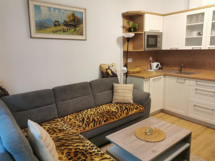 Apartmán pod svatým Hostýnem