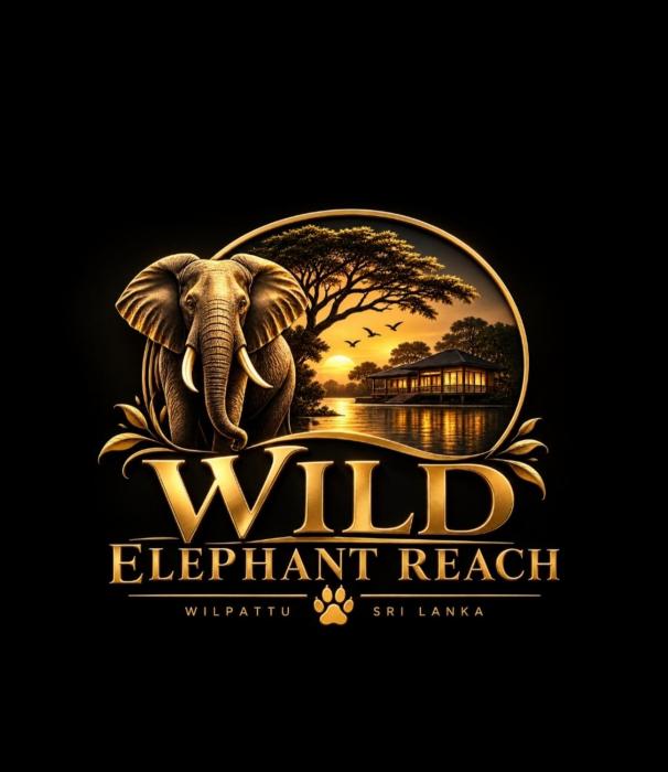Wild Elephant Reach Wilpattu