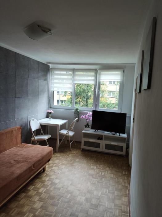 Oferta noclegów 17199859