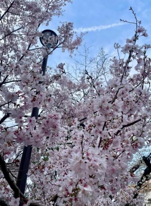 Tokyo Area