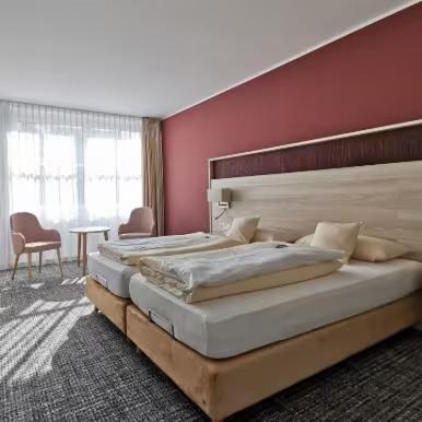 Oferta noclegów 17204229