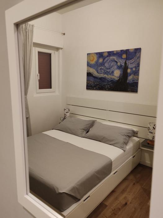 Domus MT481
