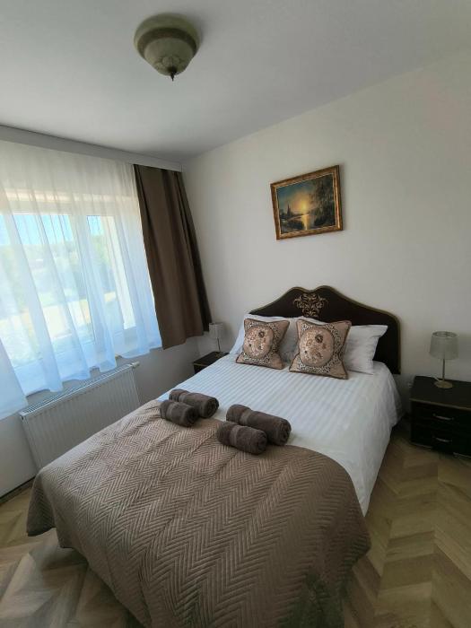 Oferta noclegów 17208963