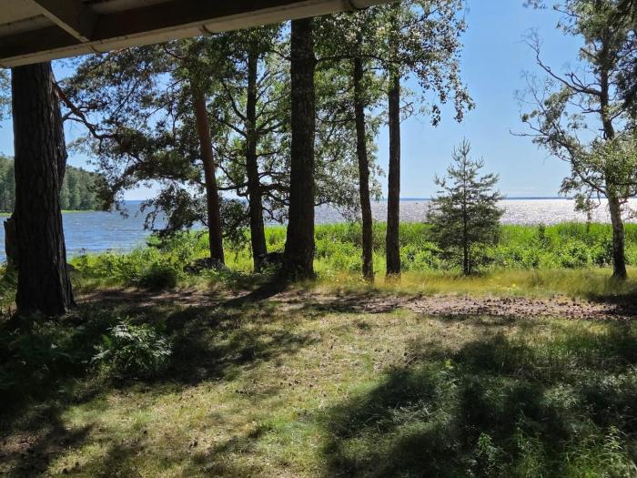 Möt höstsolen på Hjälmarens strand!