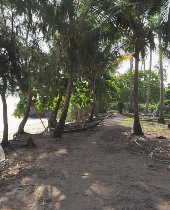 Africa zanzibar beach
