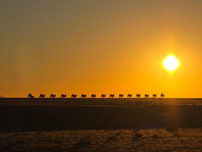 Bee Happy Hostel and Gobi amazing tour