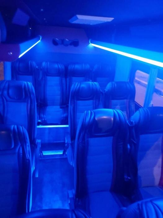 Oferta noclegów 17213536