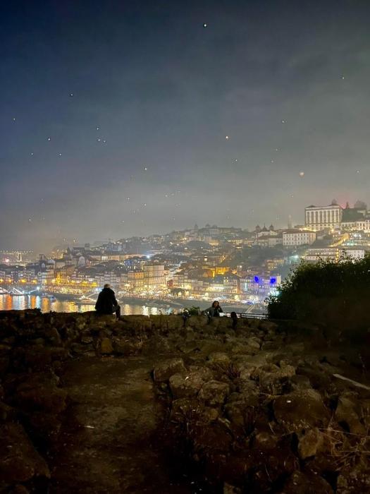 Superb balcony over Porto city center & river