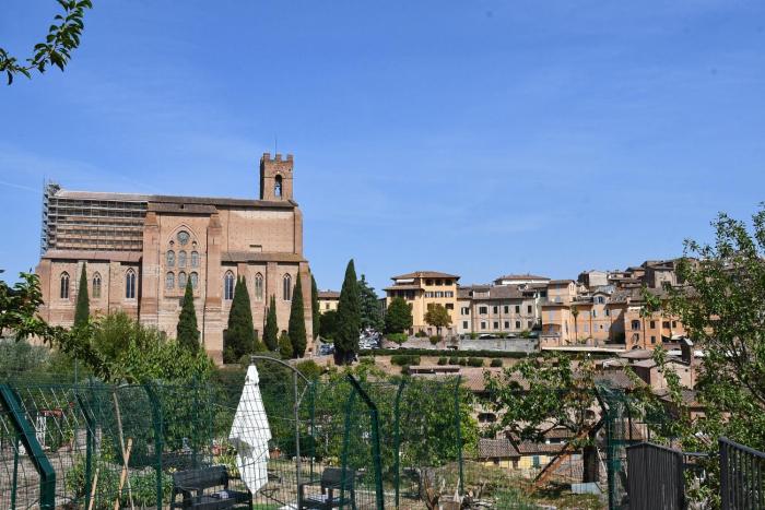 La terrazza del Conte