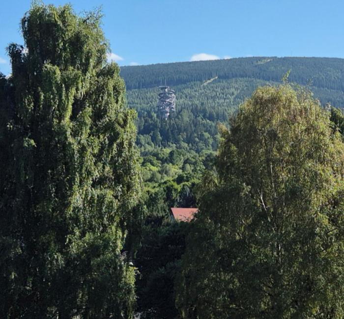Słoneczny Widok