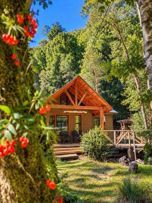 Cabañas Alto del Bosque