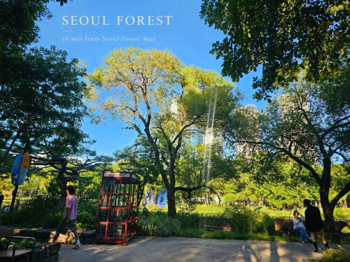 Seoul Soup Stay