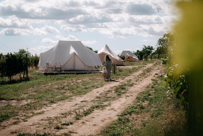 Mezi Vinicemi Glamp