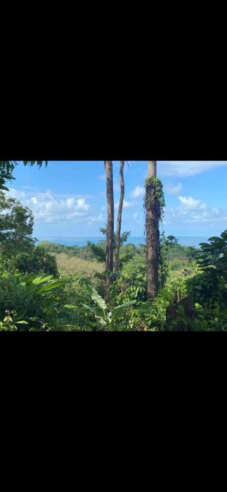 Oceanview Paradise for Natures Lover
