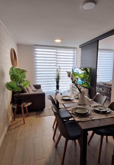 Apartamento de 1D1B en Santiago Centro
