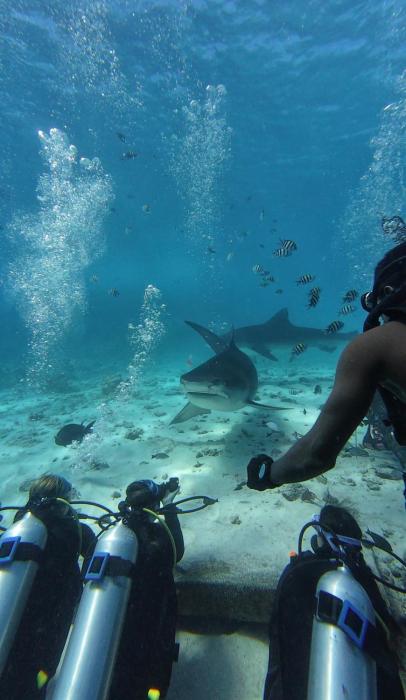 Silver County Fuvahmulah Diving Hotel