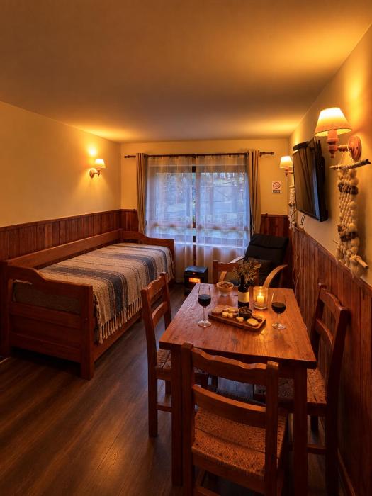 Acogedor Departamento Pucon